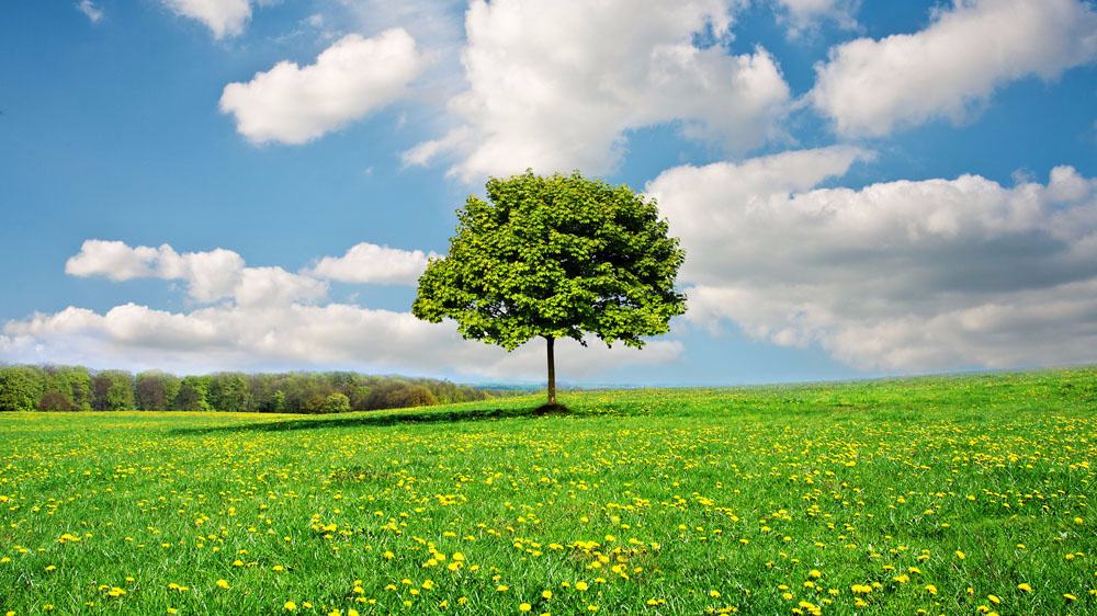 廣東有51家企業(yè)可以申請銅鋁廢碎料進口批文